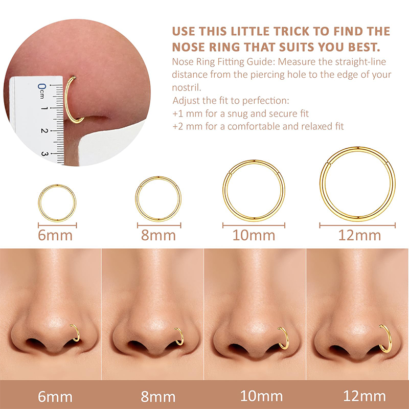 16G 316L サージカルスチール製ヒンジ付きクリッカーノ - Body Jewelry And Earrings のレビューと価格