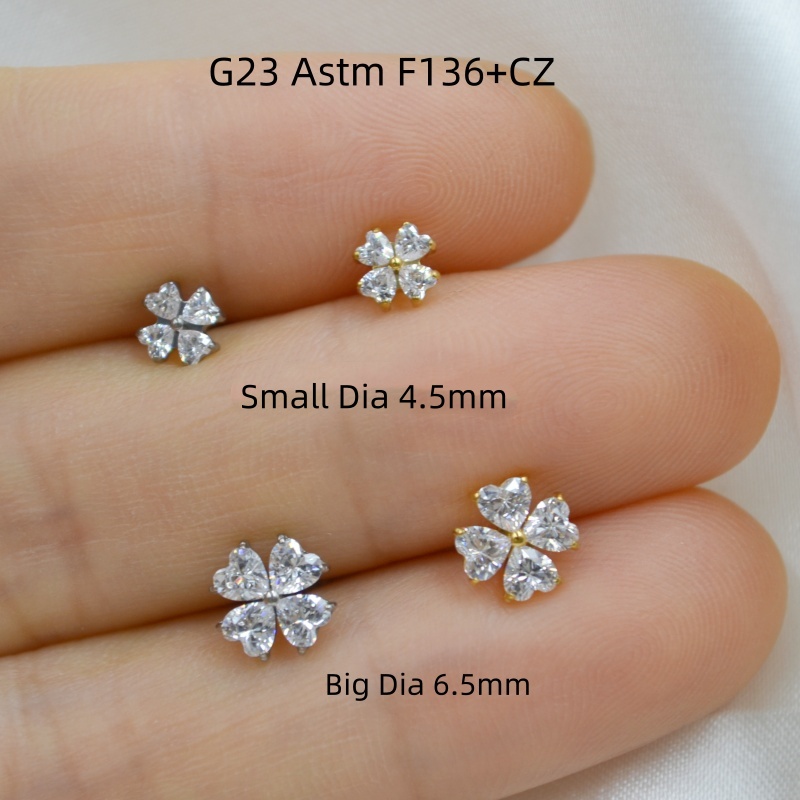 AMIGATINA卸売店 10個入り G23チタン ASTM - Body Jewelry Stores のレビューと価格