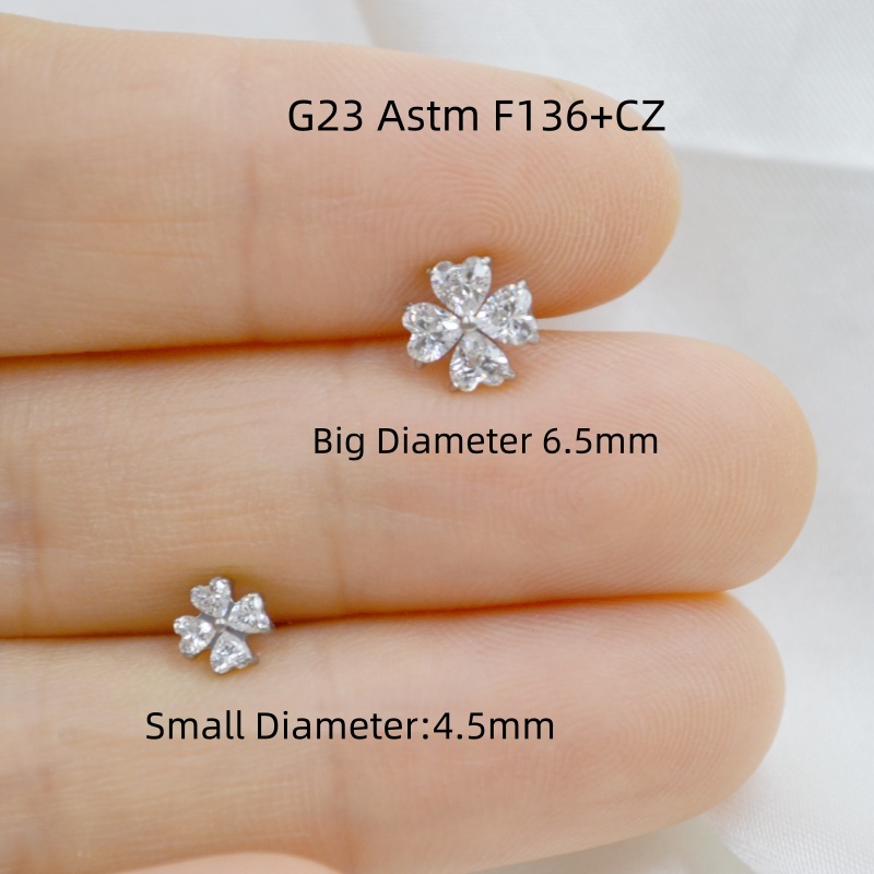 AMIGATINA卸売店 10個入り G23チタン ASTM - Body Jewelry Stores のレビューと価格