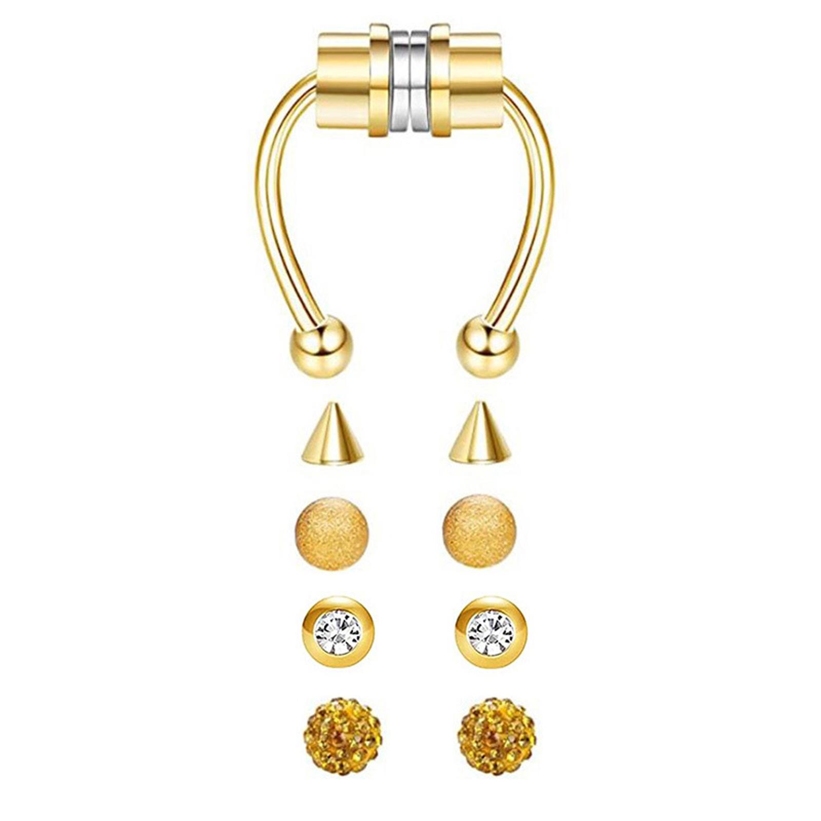 ステンレス製マグネット式フェイクノーズリング、セプタムフープ - Body Jewelry Shop のレビューと価格