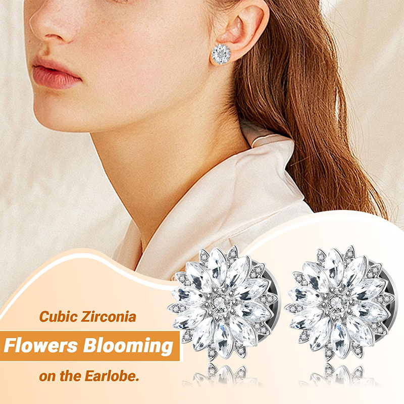キュービックジルコニア付きイヤープラグとトンネル、ステンレス - Body Jewelry Ear Piercing のレビューと価格