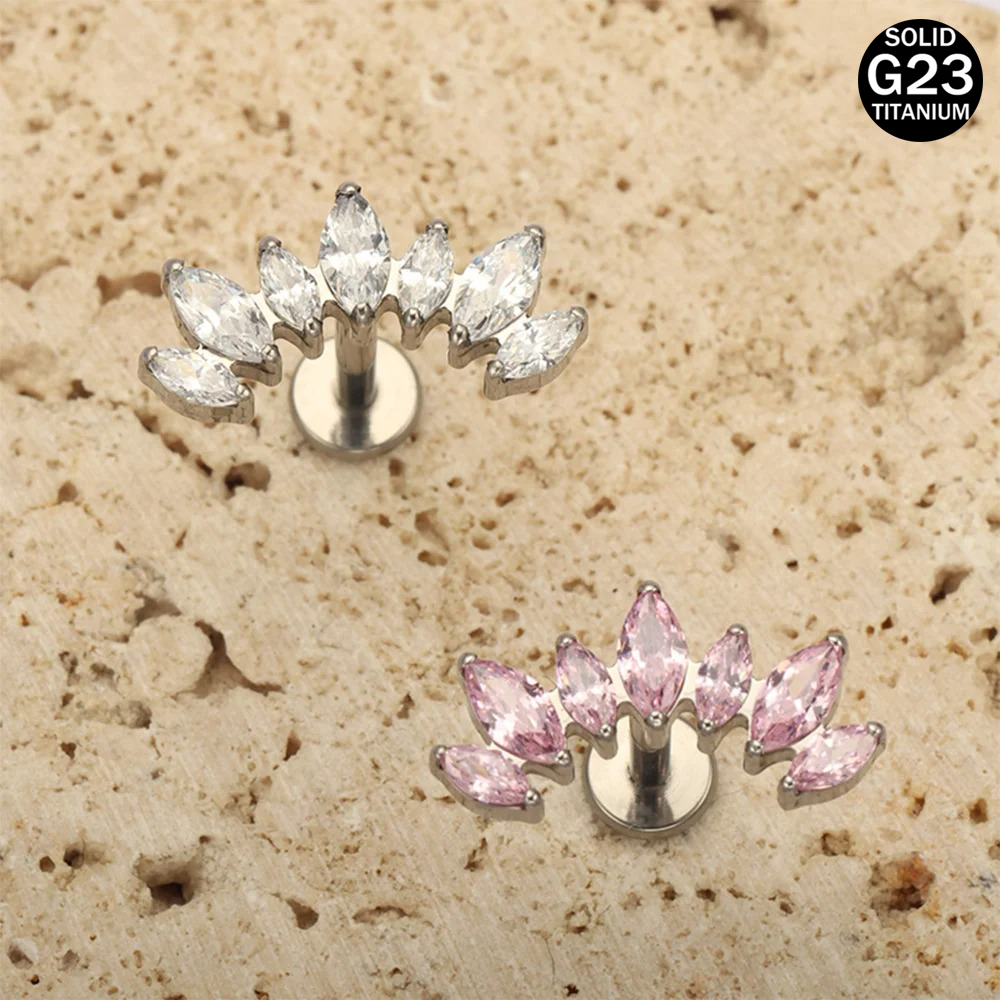 16 G 18 G F 136チタン合金の新しい馬眼形ジルコ - Body Jewelry Brands のレビューと価格